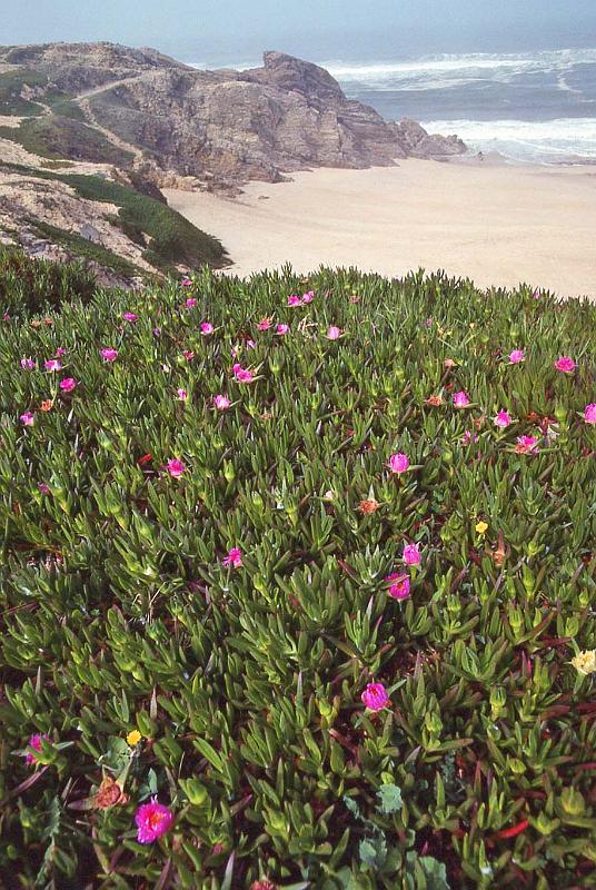 WT 2200 304-07 Portugal.jpg